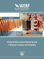 Striking the Balance between Nutrient Removal in Wastewater Treatment and Sustainability