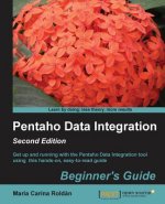 Pentaho Data Integration Beginner's Guide