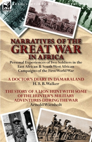 Narratives of the Great War in Africa