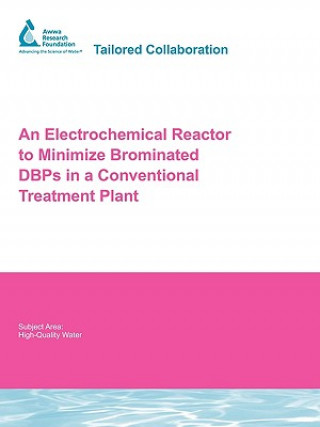 Electrochemical Reactor to Minimize Brominated DBPs in a Conventional Treatment Plant