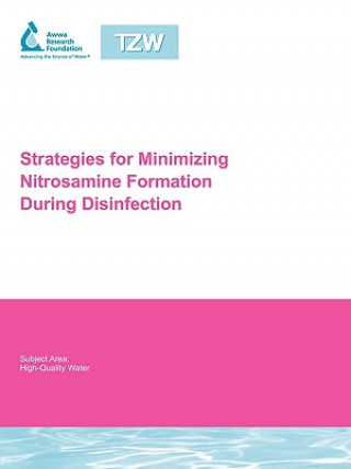 Strategies for Minimizing Nitrosamine Formation During Disinfection