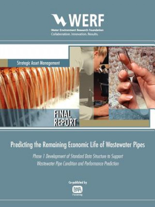 Predicting the Remaining Economic Life of Wastewater Pipes