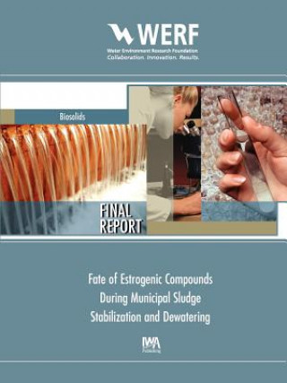 Fate of Estrogenic Compounds during Municipal Sludge Stabilization and Dewatering