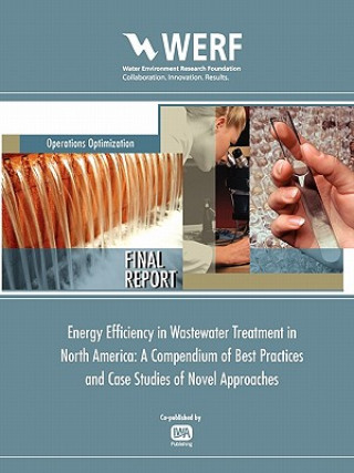 Energy Efficiency in Wastewater Treatment in North America