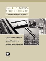 Cyanide Formation and Fate in Complex Effluents and its Relation to Water Quality Criteria