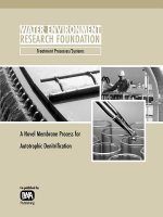 Novel Membrane Process for Autotrophic Denitrification