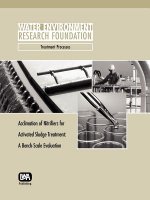 Acclimation of Nitrifiers for Activated Sludge Treatment