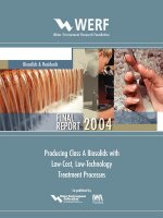 Producing Class A Biosolids With Low-Cost, Low-Technology Treatment Processes