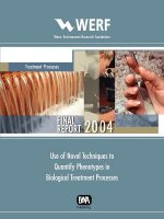 Use of Novel Techniques to Quantify Phenotypes in Biological Treatment Process