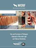 Fate and Persistence of Pathogens Subjected to Disinfection