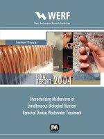 Characterizing Mechanisms of Simultaneous Biological Nutrient Removal During Wastewater Treatment