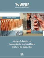 Identifying and Communicating the Benefits and Risks of Disinfecting Wet Weather Flows
