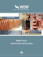 Multiple Stressors