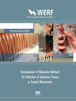 Development of Molecular Methods for Detection of Infectious Viruses in Treated Wastewater