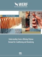 Understanding Factors Affecting Polymer Demand for Thickening and Dewatering