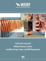 Feasibility, Design Criteria, and O&M Requirements for Small Scale Constructed Wetland Wastewater Treatment Systems