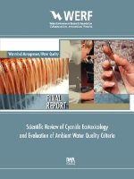 Scientific Review of Cyanide Ecotoxicology and Evaluation of Ambient Water Quality Criteria