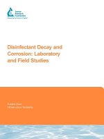 Disinfectant Decay and Corrosion: Laboratory and Field Studies