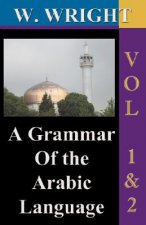 Grammar of the Arabic Language (Wright's Grammar).
