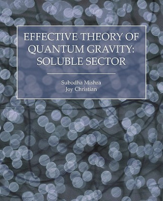 Effective Theory of Quantum Gravity