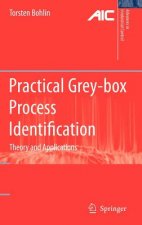 Practical Grey-box Process Identification