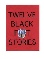 Twelve Blackfeet Stories