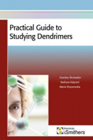 Practical Guide to Studying Dendrimers
