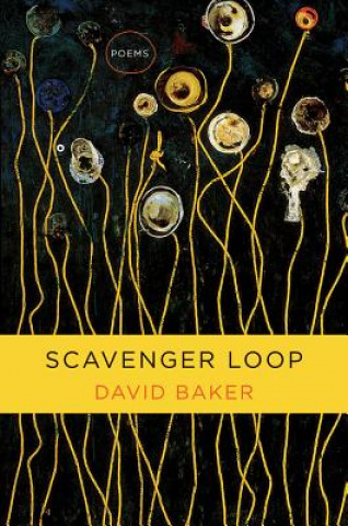 Scavenger Loop