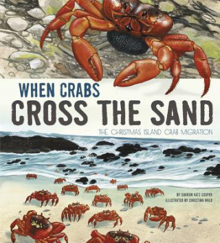 When Crabs Cross the Sand: The Christmas Island Crab Migration