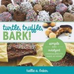 Turtle, Truffle, Bark