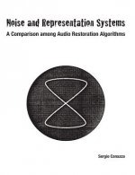 Noise and Representation Systems