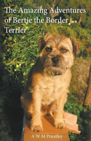 Amazing Adventures of Bertie the Border Terrier