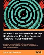 Maximize Your Investment: 10 Key Strategies for Effective Packaged Software Implementations