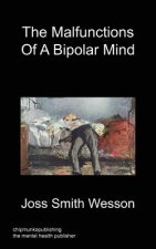 Malfunctions of a Bipolar Mind