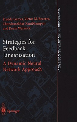 Strategies for Feedback Linearisation