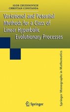 Variational and Potential Methods for a Class of Linear Hyperbolic Evolutionary Processes