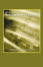 What Works in Reducing Domestic Violence