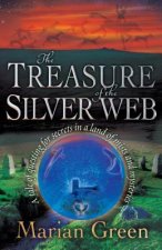 Treasure of the Silver Web