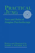 Practical Jung