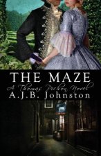 Maze, a Thomas Pichon Novel