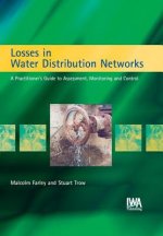 Losses in Water Distribution Networks