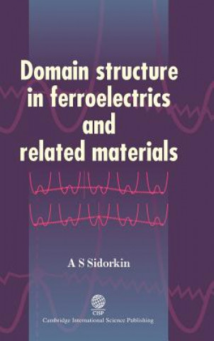 Domain Structure in Ferroelectrics and Related Materials