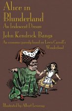 Alice in Blunderland
