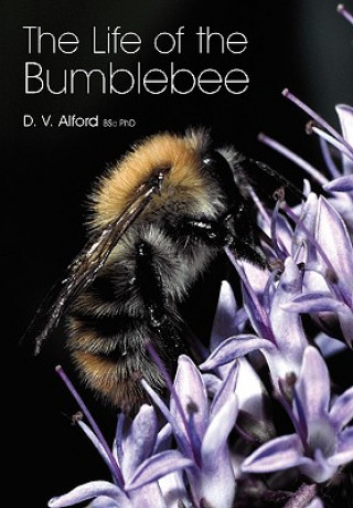 Life of the bumblebee