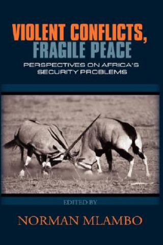 Violent Conflicts, Fragile Peace