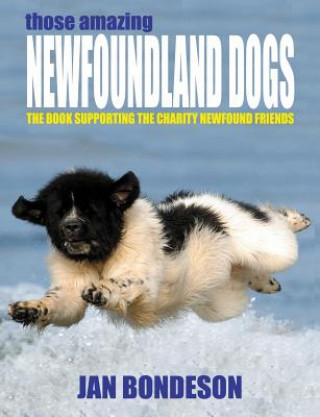Those Amazing Newfoundland Dogs