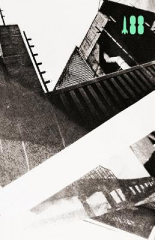 Fertig (Sol Yurick)(Brožovaná)