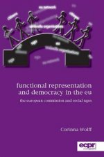 Functional Representation and Democracy in the EU