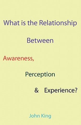 What is the Relationship Between Awareness, Perception & Experience?