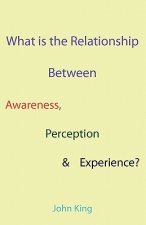 What is the Relationship Between Awareness, Perception & Experience?